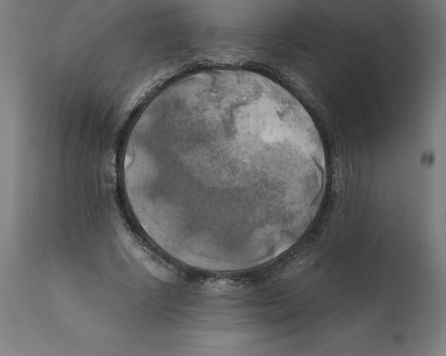 X0000111150634200907211204