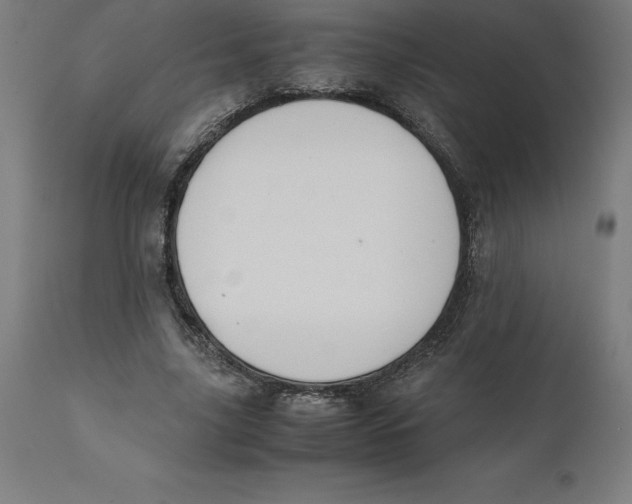 X0000111150635200907211204