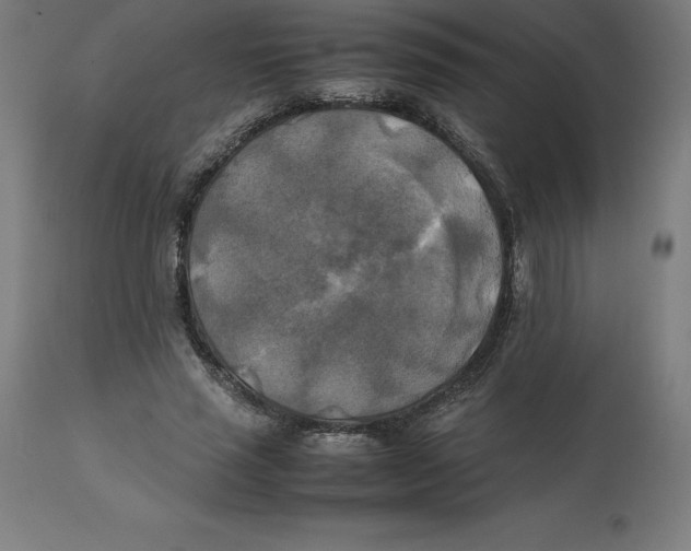 X0000111150637200907211204
