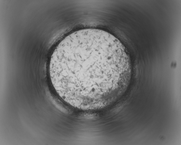 X0000111150638200907211204