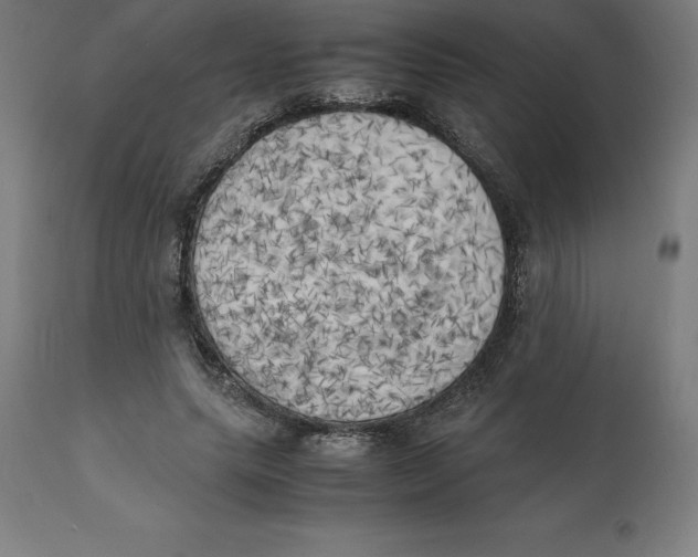 X0000111150639200907211204