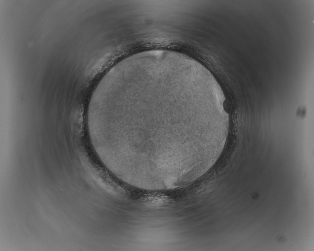 X0000111150642200907211204