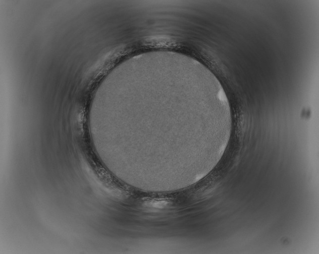 X0000111150643200907211204