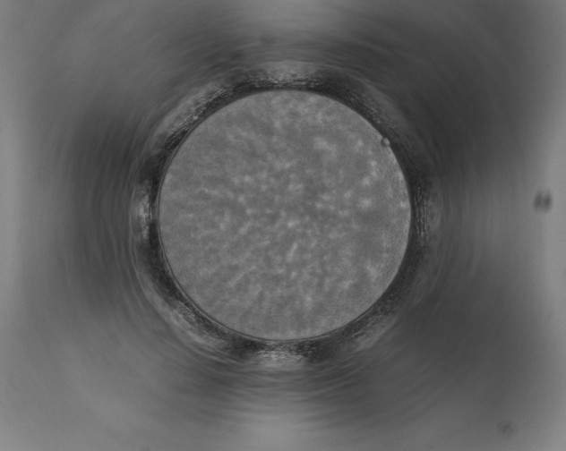 X0000111150644200907211204
