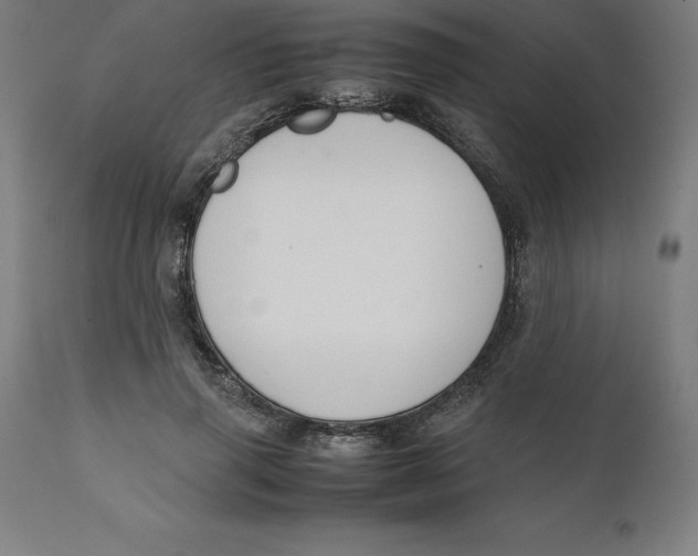 X0000111150645200907211204