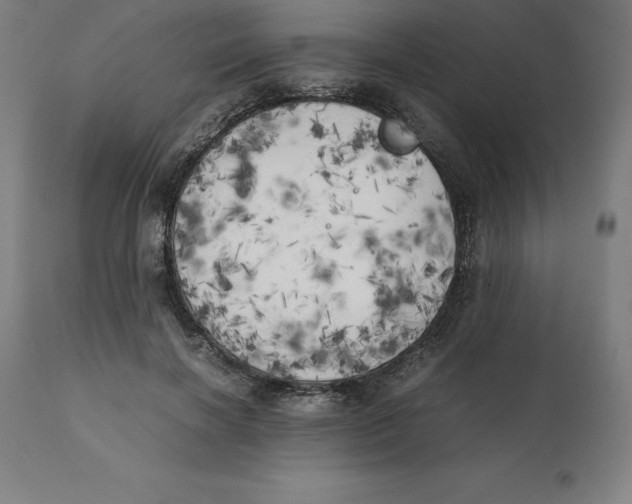 X0000111150646200907211204