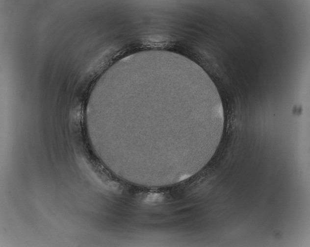 X0000111150647200907211204