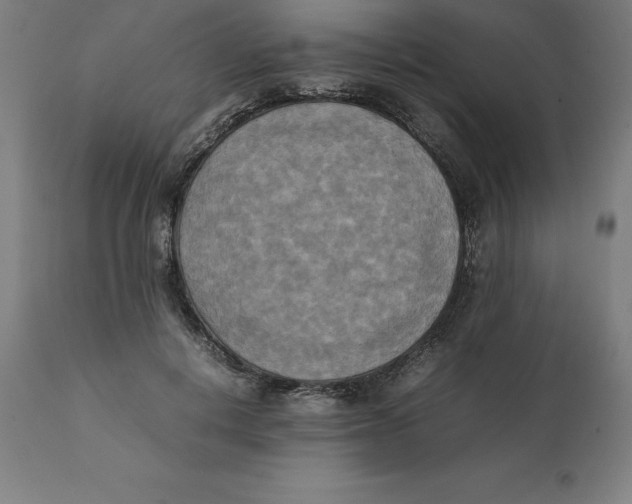 X0000111150648200907211204
