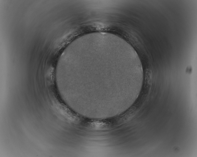 X0000111150650200907211204