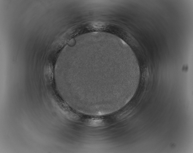 X0000111150651200907211204
