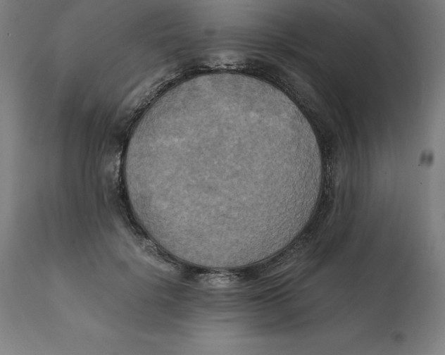 X0000111150652200907211204