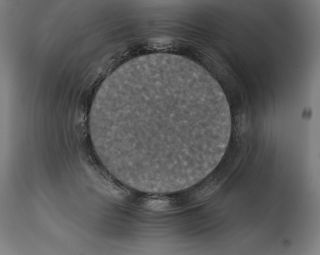 X0000111150653200907211204