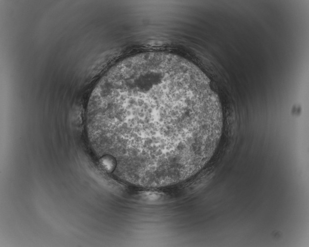 X0000111150654200907211204
