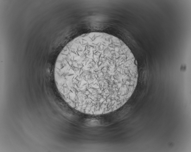X0000111150655200907211204