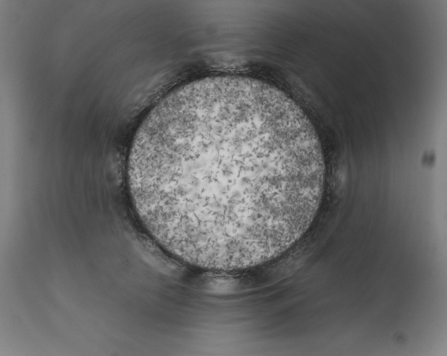 X0000111150658200907211204