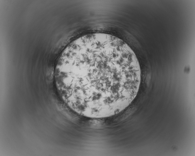 X0000111150660200907211204