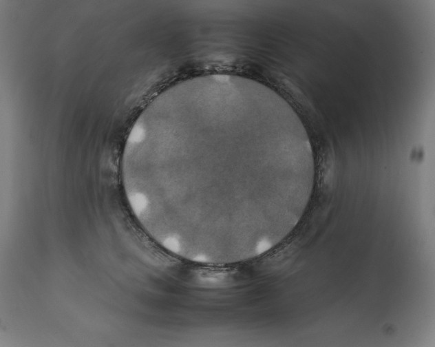 X0000111150661200907211204