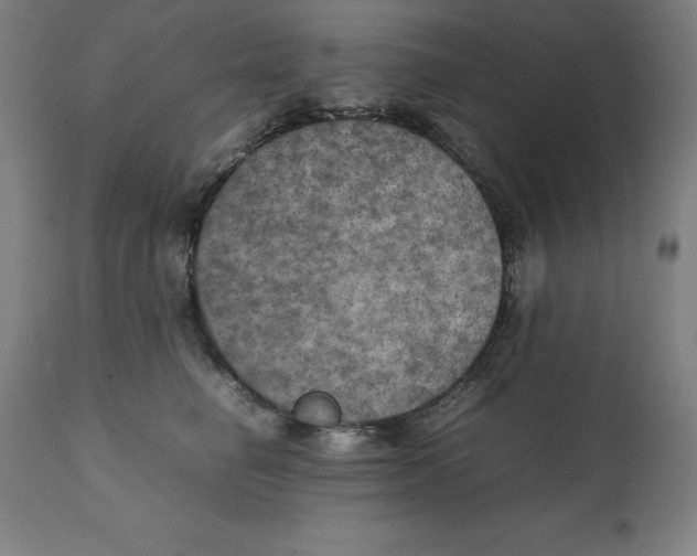 X0000111150662200907211204