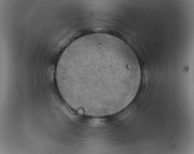 X0000111150664200907211204
