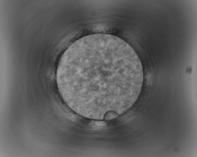 X0000111150665200907211204