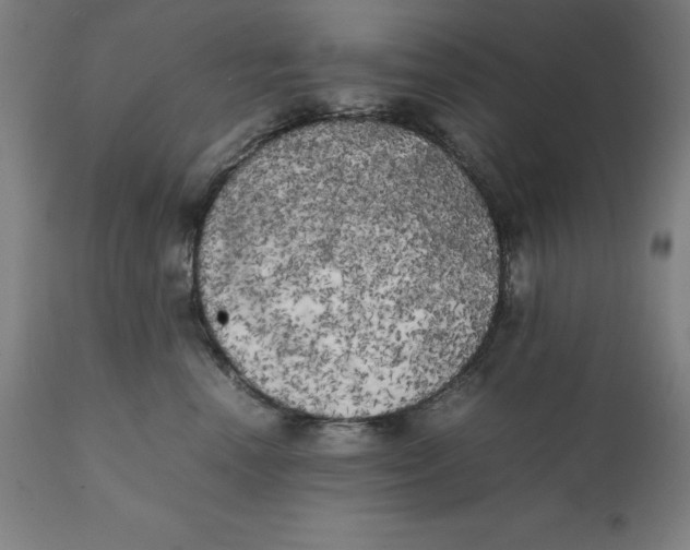 X0000111150666200907211204