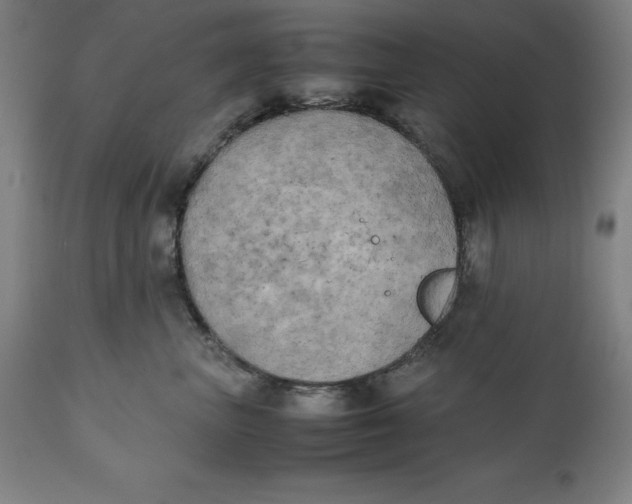 X0000111150667200907211204