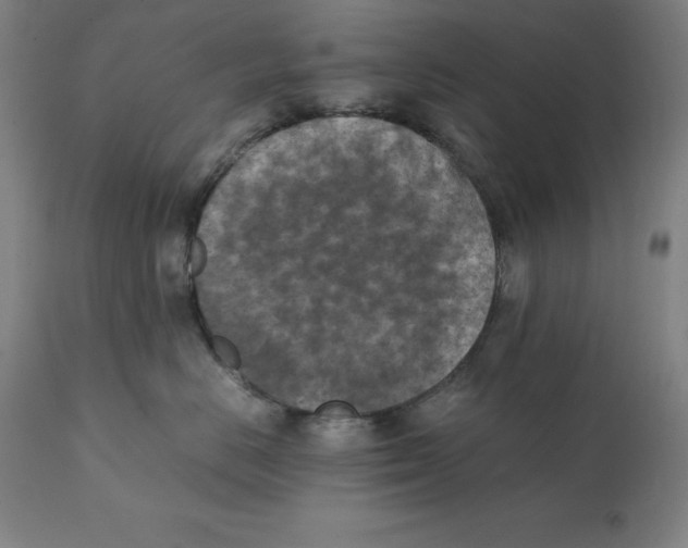 X0000111150670200907211204