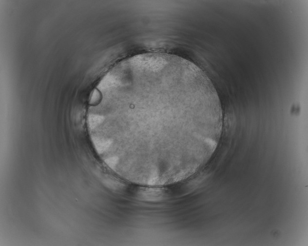 X0000111150671200907211204