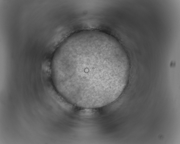 X0000111150672200907211204