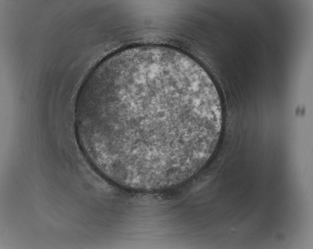 X0000111150673200907211204