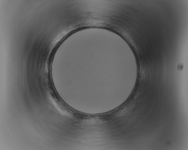 X0000111150674200907211203