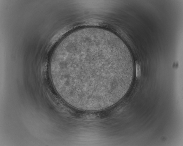 X0000111150675200907211203