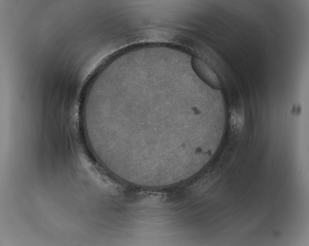X0000111150676200907211203