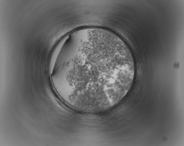 X0000111150677200907211203