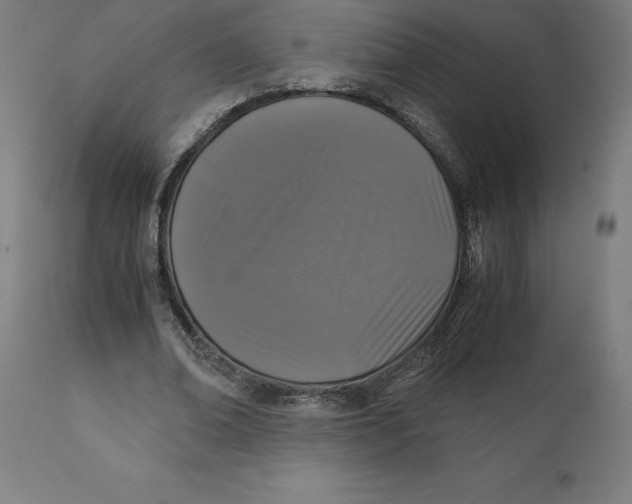 X0000111150678200907211203