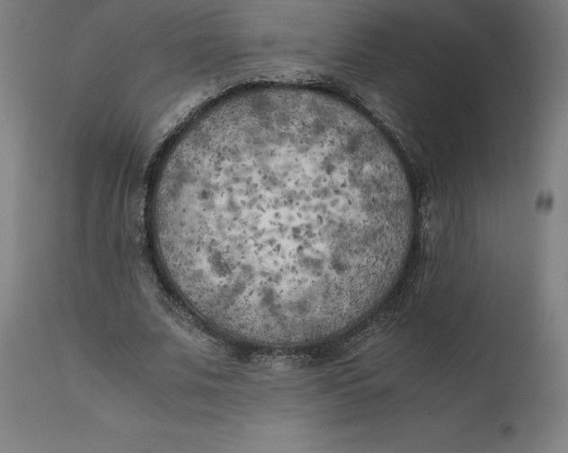 X0000111150679200907211203