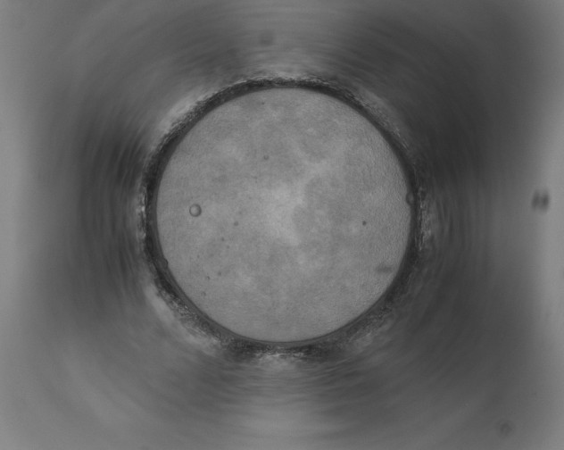 X0000111150680200907211203