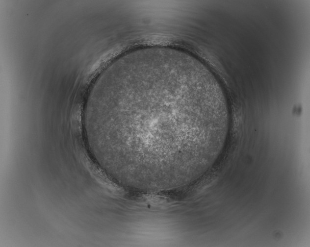 X0000111150681200907211203
