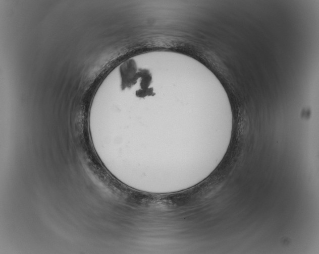 X0000111150683200907211203