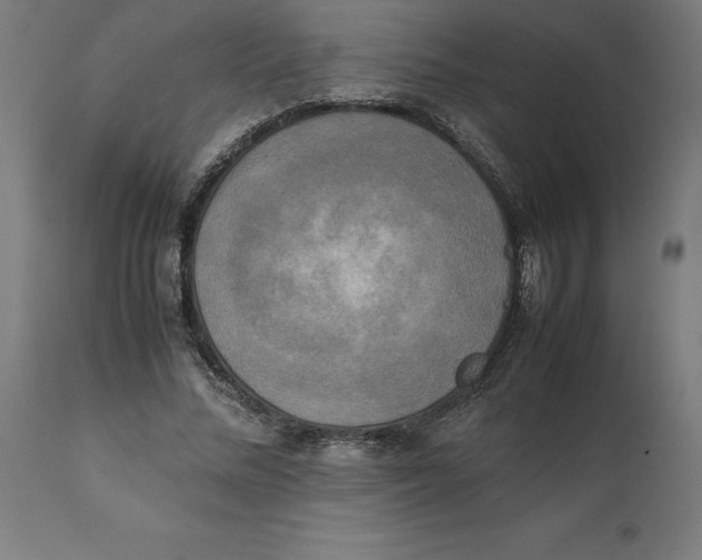 X0000111150684200907211203