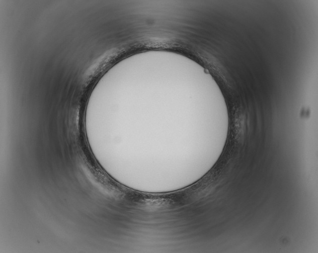 X0000111150686200907211203