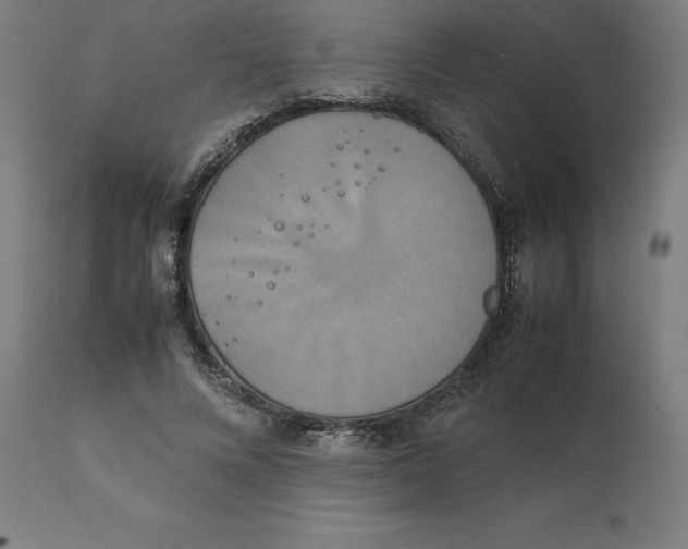 X0000111150688200907211203