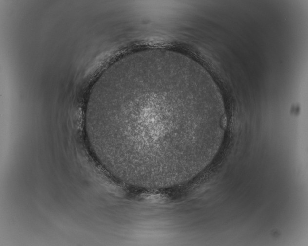 X0000111150689200907211203