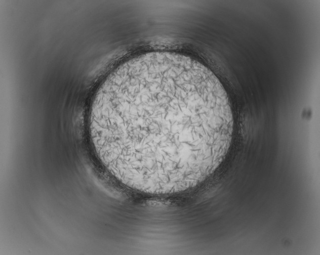 X0000111150690200907211203