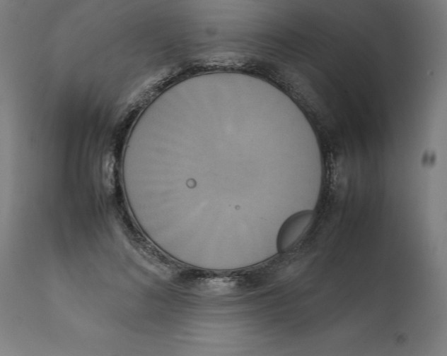 X0000111150692200907211203