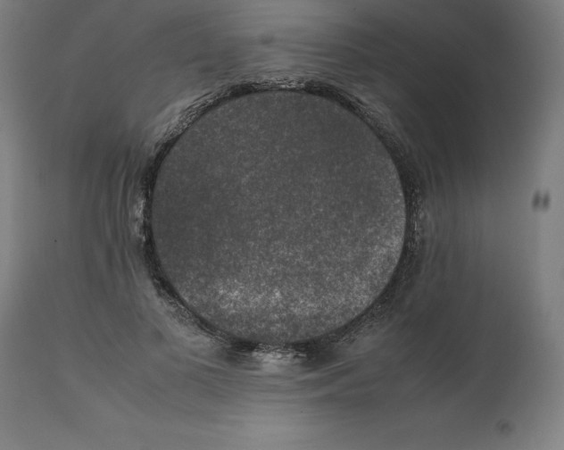 X0000111150693200907211203