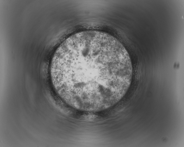 X0000111150695200907211203