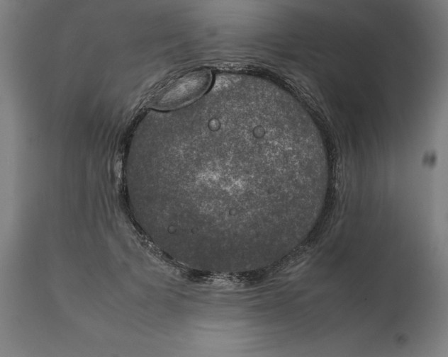 X0000111150697200907211203
