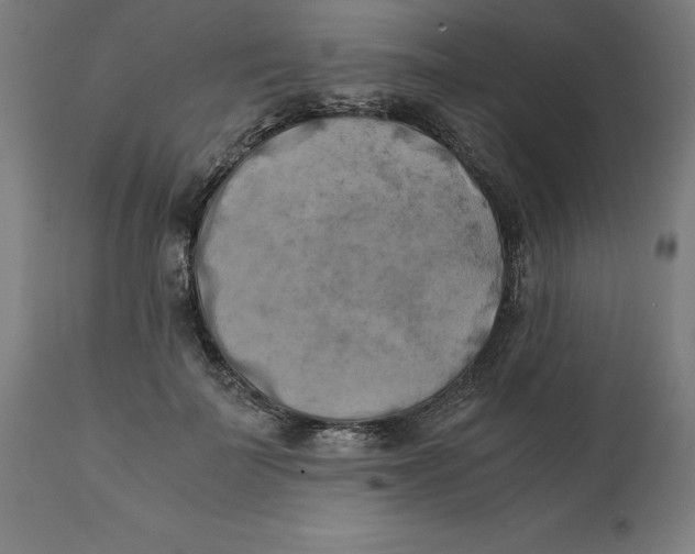 X0000111150699200907211203