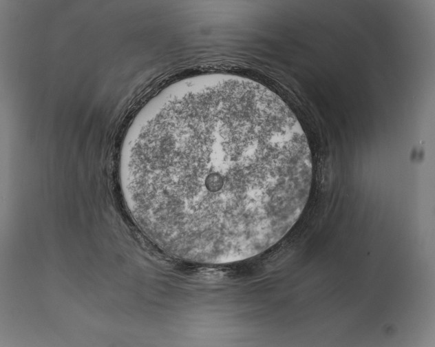 X0000111150701200907211203